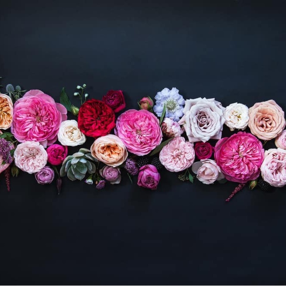 Meet your Posher, Mrs